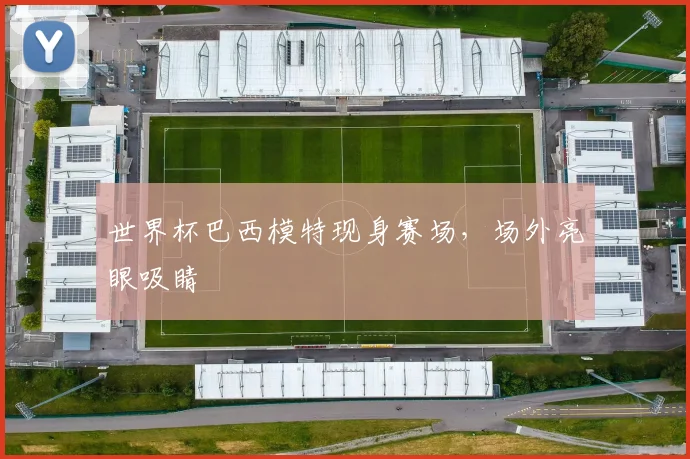 世界杯巴西模特现身赛场,场外亮眼吸睛