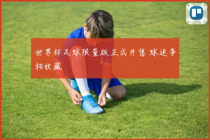 世界杯足球限量版正式开售 球迷争相收藏
