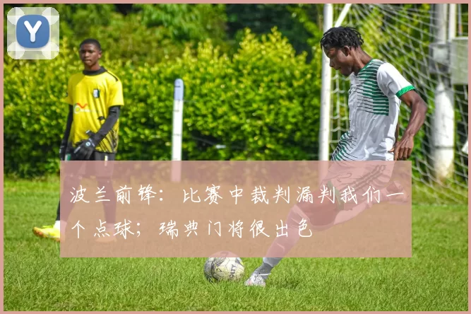 波兰前锋：比赛中裁判漏判我们一个点球；瑞典门将很出色