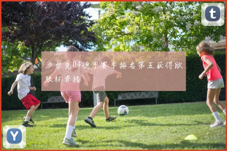沙尔克04德甲赛季排名第五获得欧联杯资格