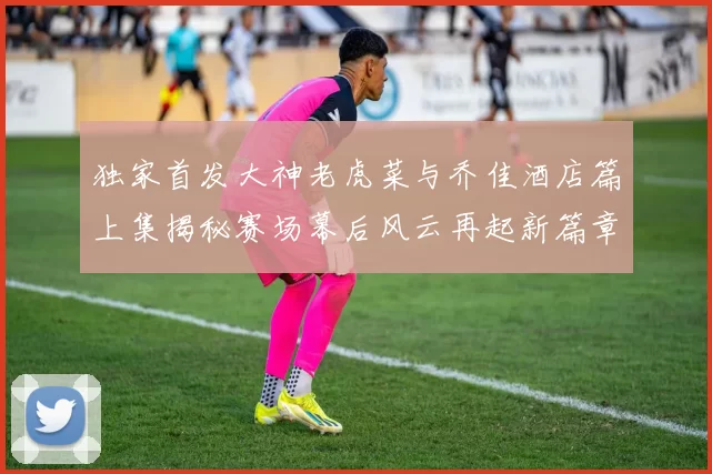 独家首发大神老虎菜与乔佳酒店篇上集揭秘赛场幕后风云再起新篇章